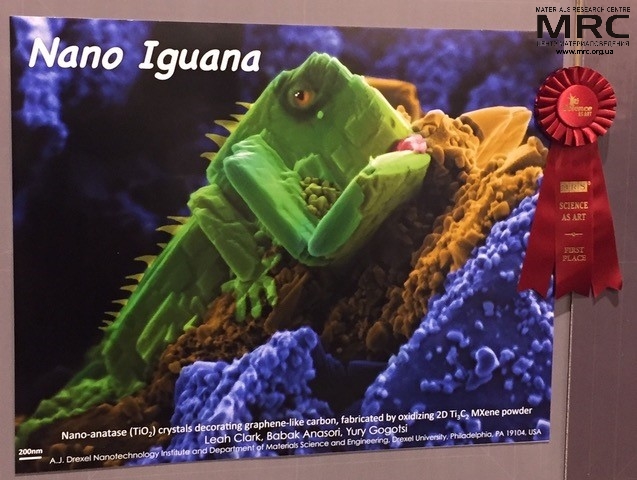 Entry Nano Iguana became a 1st place winner at Science as Art Competition 2017: Nano-anatase (TiO2) crystals decorating graphene-like carbon, fabricated by oxidizing 2d Ti3C2 MXene powder, presented by A. J. Drexel Nanotechnology Institute and Department of Materials Science  and Engineering, Drexel University, USA